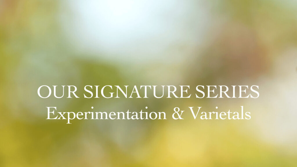Our Signature Series - Experimentation & Varietals