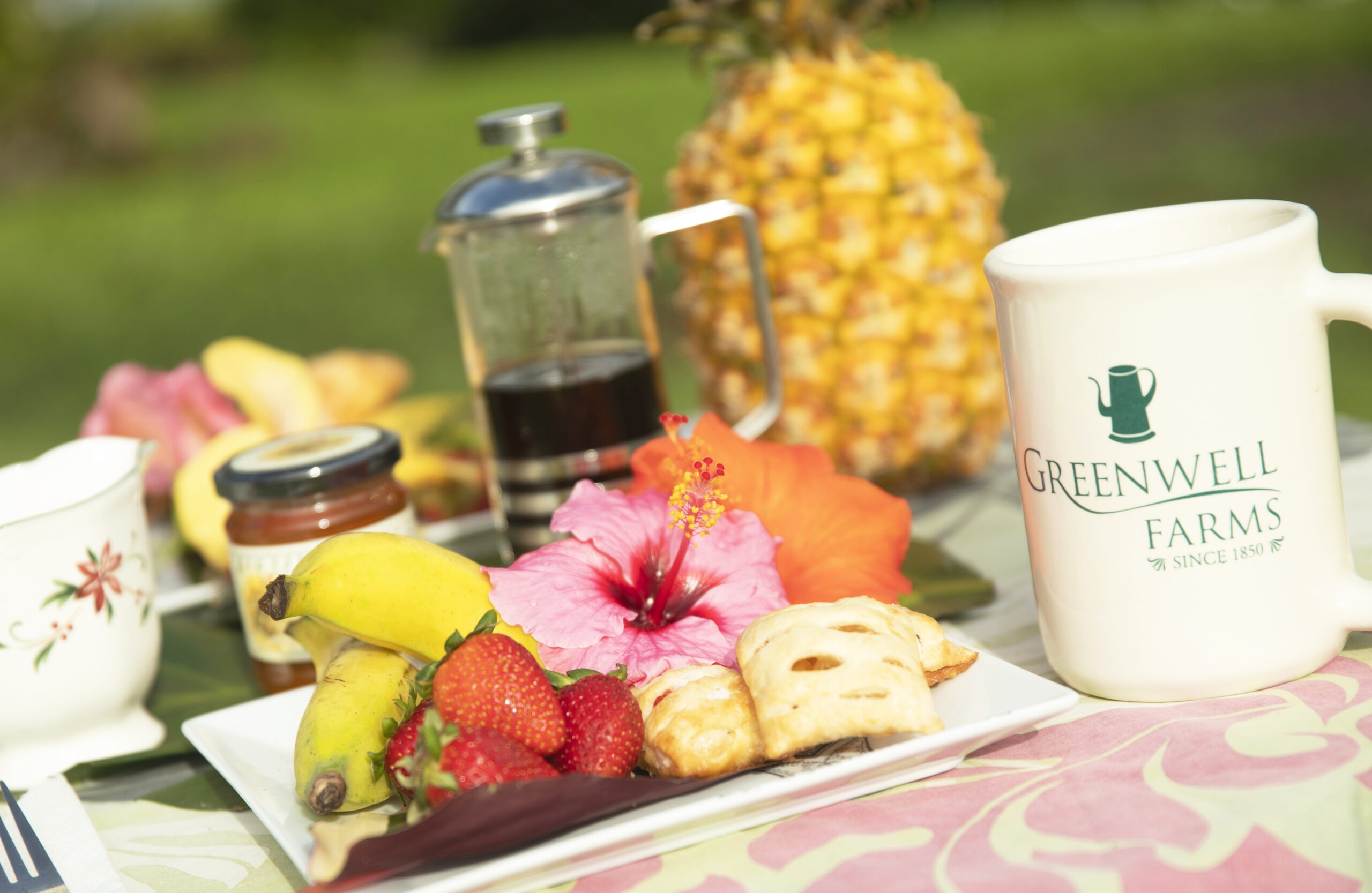 The Perfect French Pressed Coffee - Greenwell Farms