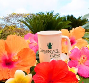 Greenwell Farms Coffee Mug Between Flowers