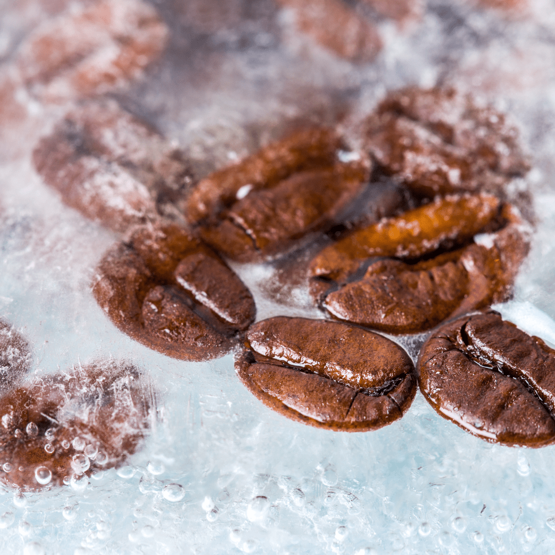 Frozen Coffee Beans