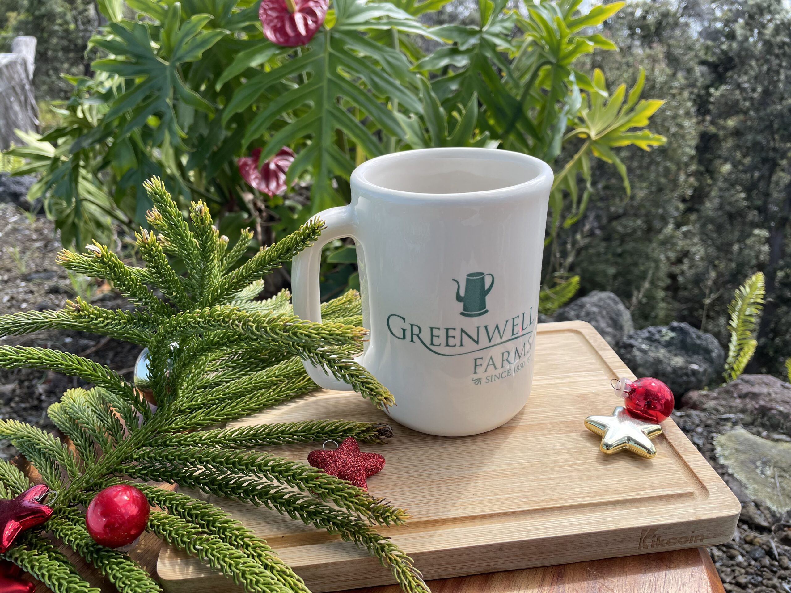 Christmas decorations and Kona coffee mug outdoors at Greenwell Farms